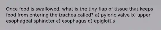 Once food is swallowed, what is the tiny flap of tissue that keeps food from entering the trachea called? a) pyloric valve b) upper esophageal sphincter c) esophagus d) epiglottis