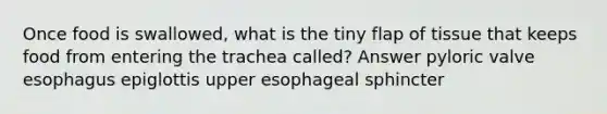 Once food is swallowed, what is the tiny flap of tissue that keeps food from entering the trachea called? Answer pyloric valve esophagus epiglottis upper esophageal sphincter