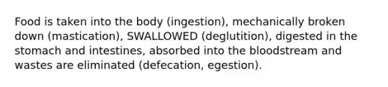 Food is taken into the body (ingestion), mechanically broken down (mastication), SWALLOWED (deglutition), digested in the stomach and intestines, absorbed into the bloodstream and wastes are eliminated (defecation, egestion).