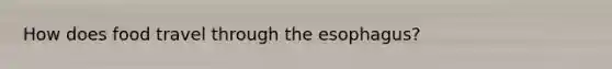 How does food travel through the esophagus?