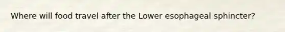 Where will food travel after the Lower esophageal sphincter?