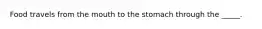 Food travels from the mouth to the stomach through the _____.