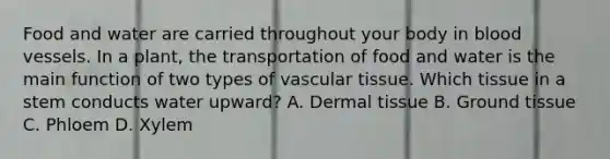 Food and water are carried throughout your body in blood vessels. In a plant, the transportation of food and water is the main function of two types of vascular tissue. Which tissue in a stem conducts water upward? A. Dermal tissue B. Ground tissue C. Phloem D. Xylem