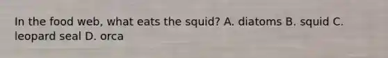 In the food web, what eats the squid? A. diatoms B. squid C. leopard seal D. orca