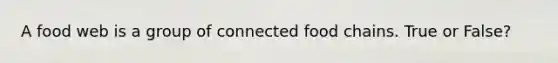 A food web is a group of connected food chains. True or False?