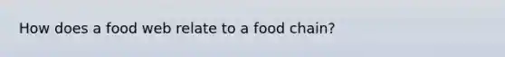 How does a food web relate to a food chain?