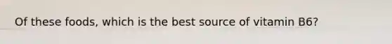 Of these foods, which is the best source of vitamin B6?