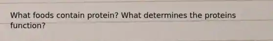What foods contain protein? What determines the proteins function?