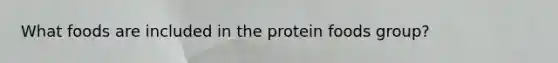 What foods are included in the protein foods group?