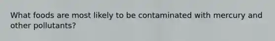 What foods are most likely to be contaminated with mercury and other pollutants?