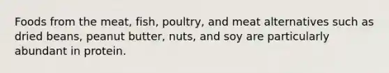 Foods from the meat, fish, poultry, and meat alternatives such as dried beans, peanut butter, nuts, and soy are particularly abundant in protein.