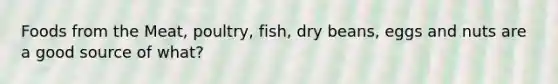 Foods from the Meat, poultry, fish, dry beans, eggs and nuts are a good source of what?