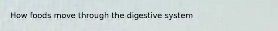 How foods move through the digestive system