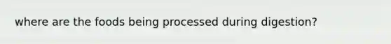 where are the foods being processed during digestion?