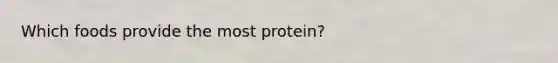 Which foods provide the most protein?