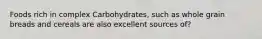 Foods rich in complex Carbohydrates, such as whole grain breads and cereals are also excellent sources of?