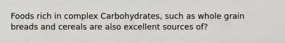 Foods rich in complex Carbohydrates, such as whole grain breads and cereals are also excellent sources of?