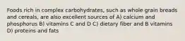 Foods rich in complex carbohydrates, such as whole grain breads and cereals, are also excellent sources of A) calcium and phosphorus B) vitamins C and D C) dietary fiber and B vitamins D) proteins and fats