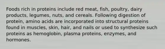 Foods rich in proteins include red meat, fish, poultry, dairy products, legumes, ​​​nuts, and cereals. Following digestion of protein, amino acids are incorporated ​​​into structural proteins found in muscles, skin, hair, and nails or used to synthesize such ​​proteins as hemoglobin, plasma proteins, enzymes, and hormones.