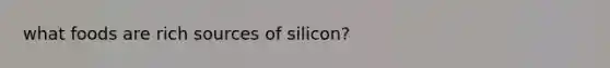 what foods are rich sources of silicon?