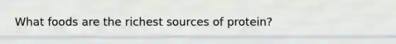 What foods are the richest sources of protein?