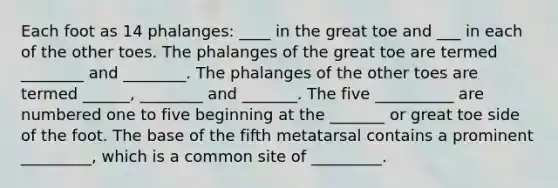 Each foot as 14 phalanges: ____ in the great toe and ___ in each of the other toes. The phalanges of the great toe are termed ________ and ________. The phalanges of the other toes are termed ______, ________ and _______. The five __________ are numbered one to five beginning at the _______ or great toe side of the foot. The base of the fifth metatarsal contains a prominent _________, which is a common site of _________.