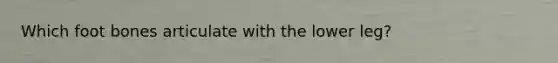 Which foot bones articulate with the lower leg?