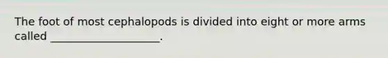 The foot of most cephalopods is divided into eight or more arms called ____________________.