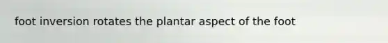 foot inversion rotates the plantar aspect of the foot