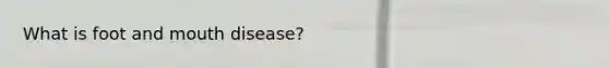 What is foot and mouth disease?