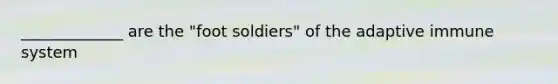 _____________ are the "foot soldiers" of the adaptive immune system