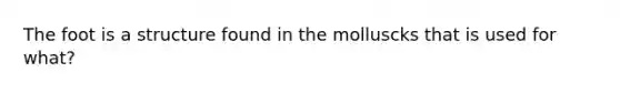 The foot is a structure found in the molluscks that is used for what?
