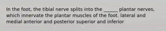 In the foot, the tibial nerve splits into the ______ plantar nerves, which innervate the plantar muscles of the foot. lateral and medial anterior and posterior superior and inferior