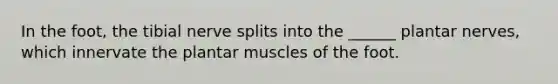 In the foot, the tibial nerve splits into the ______ plantar nerves, which innervate the plantar muscles of the foot.