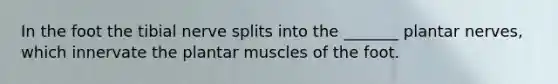 In the foot the tibial nerve splits into the _______ plantar nerves, which innervate the plantar muscles of the foot.