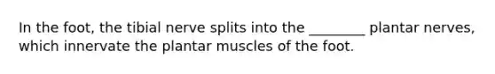 In the foot, the tibial nerve splits into the ________ plantar nerves, which innervate the plantar muscles of the foot.