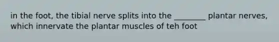 in the foot, the tibial nerve splits into the ________ plantar nerves, which innervate the plantar muscles of teh foot