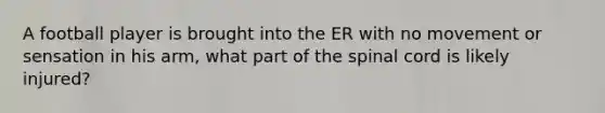 A football player is brought into the ER with no movement or sensation in his arm, what part of the spinal cord is likely injured?