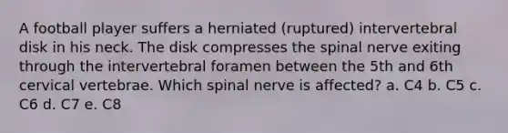 A football player suffers a herniated (ruptured) intervertebral disk in his neck. The disk compresses the spinal nerve exiting through the intervertebral foramen between the 5th and 6th cervical vertebrae. Which spinal nerve is affected? a. C4 b. C5 c. C6 d. C7 e. C8