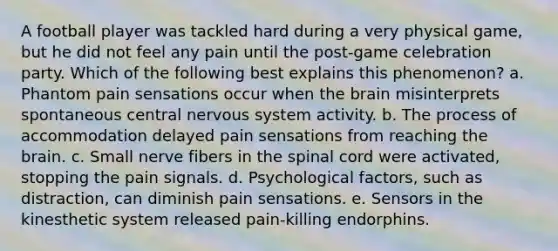 A football player was tackled hard during a very physical game, but he did not feel any pain until the post-game celebration party. Which of the following best explains this phenomenon? a. Phantom pain sensations occur when the brain misinterprets spontaneous central nervous system activity. b. The process of accommodation delayed pain sensations from reaching the brain. c. Small nerve fibers in the spinal cord were activated, stopping the pain signals. d. Psychological factors, such as distraction, can diminish pain sensations. e. Sensors in the kinesthetic system released pain-killing endorphins.