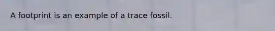 A footprint is an example of a trace fossil.