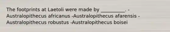 The footprints at Laetoli were made by __________. -Australopithecus africanus -Australopithecus afarensis -Australopithecus robustus -Australopithecus boisei