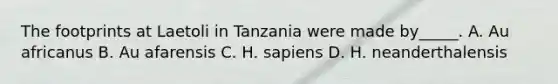 The footprints at Laetoli in Tanzania were made by_____. A. Au africanus B. Au afarensis C. H. sapiens D. H. neanderthalensis