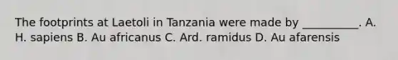 The footprints at Laetoli in Tanzania were made by __________. A. H. sapiens B. Au africanus C. Ard. ramidus D. Au afarensis