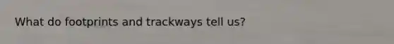 What do footprints and trackways tell us?