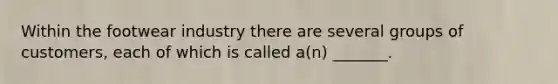 Within the footwear industry there are several groups of customers, each of which is called a(n) _______.