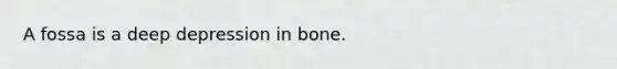 A fossa is a deep depression in bone.