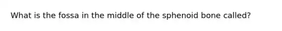 What is the fossa in the middle of the sphenoid bone called?