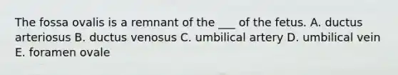The fossa ovalis is a remnant of the ___ of the fetus. A. ductus arteriosus B. ductus venosus C. umbilical artery D. umbilical vein E. foramen ovale