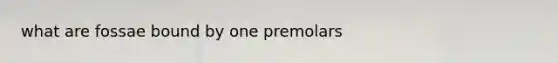 what are fossae bound by one premolars